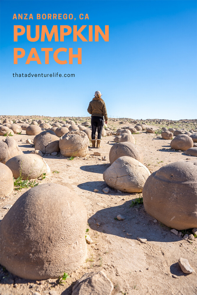 Pumpkin Patch - Anza Borrego Desert State Park, CA Pin 1