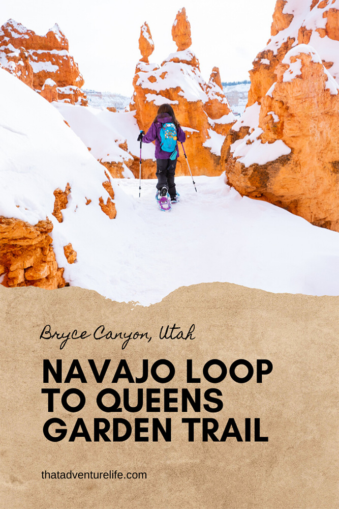 Hiking Navajo Loop to Queens Garden Trail in Bryce Canyon National Park, UT Pin 2