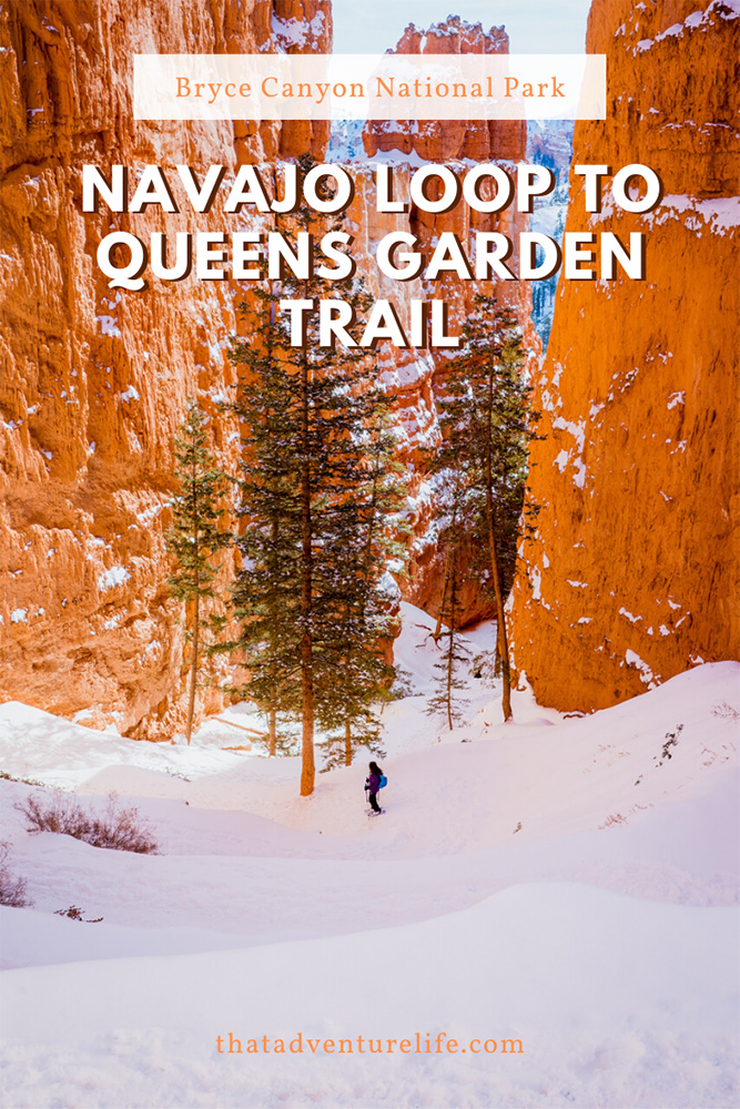 Hiking Navajo Loop to Queens Garden Trail in Bryce Canyon National Park, UT Pin 1