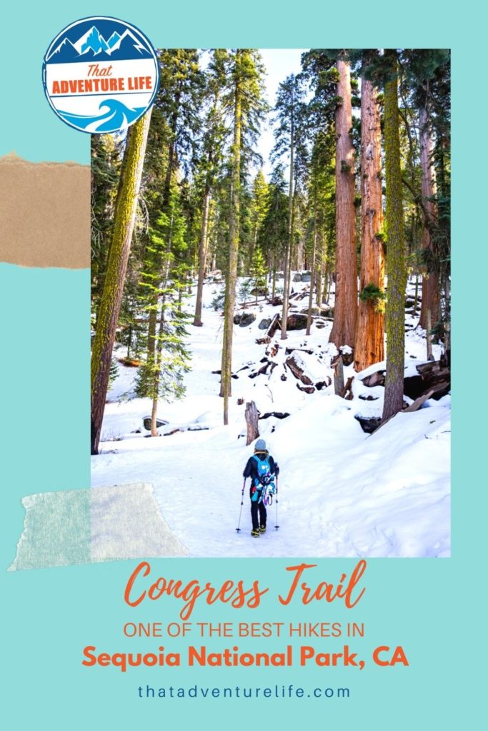 Congress Trail, one of the best hikes in Sequoia National Park, CA Pin 2