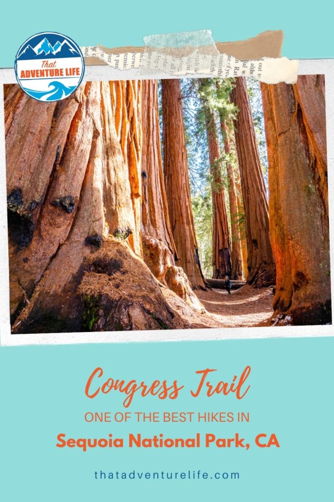 Congress Trail, one of the best hikes in Sequoia National Park, CA Pin 3
