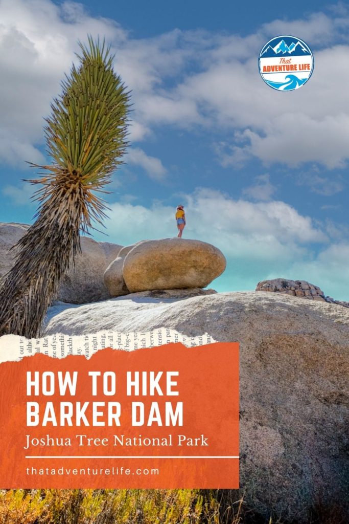 How to Hike Barker Dam Trail in Joshua Tree National Park Pin 1