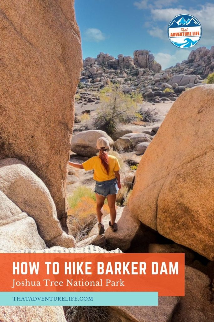How to Hike Barker Dam Trail in Joshua Tree National Park Pin 2