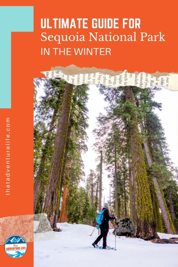 Ultimate Guide for a winter visit in Sequoia National Park Pin 1