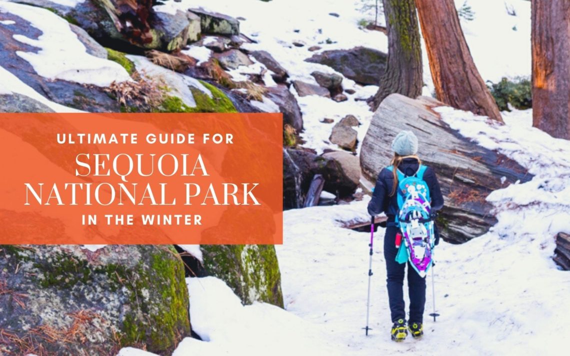 Ultimate Guide for Visiting Sequoia Natiional Park in the Winter