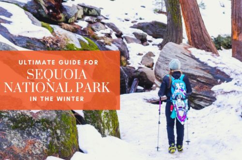 Ultimate Guide for Visiting Sequoia Natiional Park in the Winter