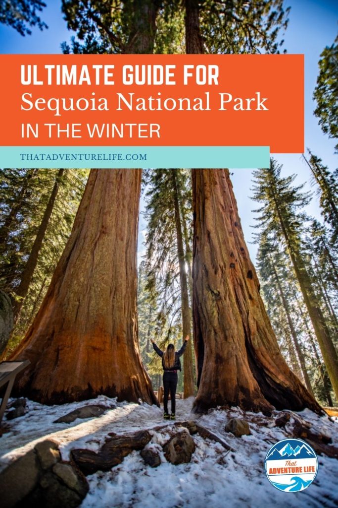 Ultimate Guide for a winter visit in Sequoia National Park Pin 2