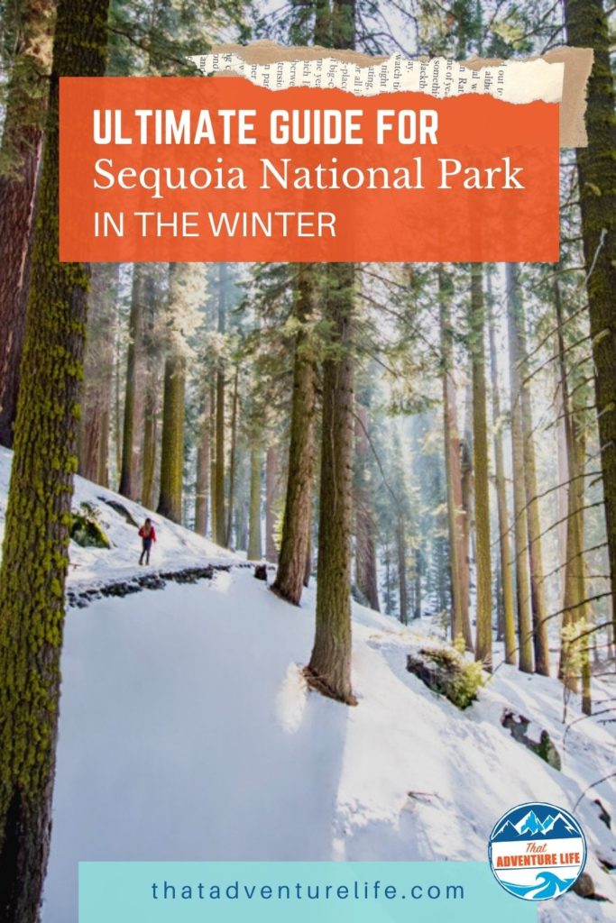 Ultimate Guide for a winter visit in Sequoia National Park Pin 3