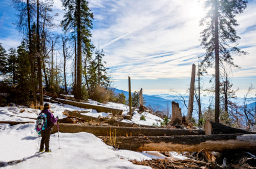 Snowshoeing to Moro Rock and Tunnel Log in Sequoia National Park, CA