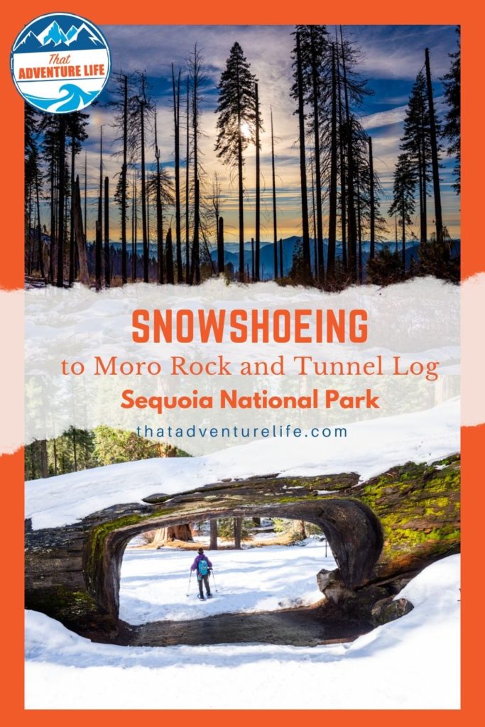 Pinterest Pin for Snowshoeing in Sequoia National Park 1