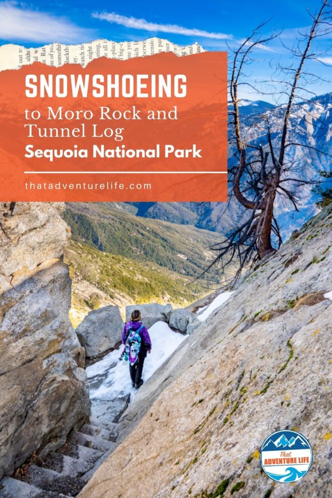 Pinterest Pin for Snowshoeing in Sequoia National Park 3