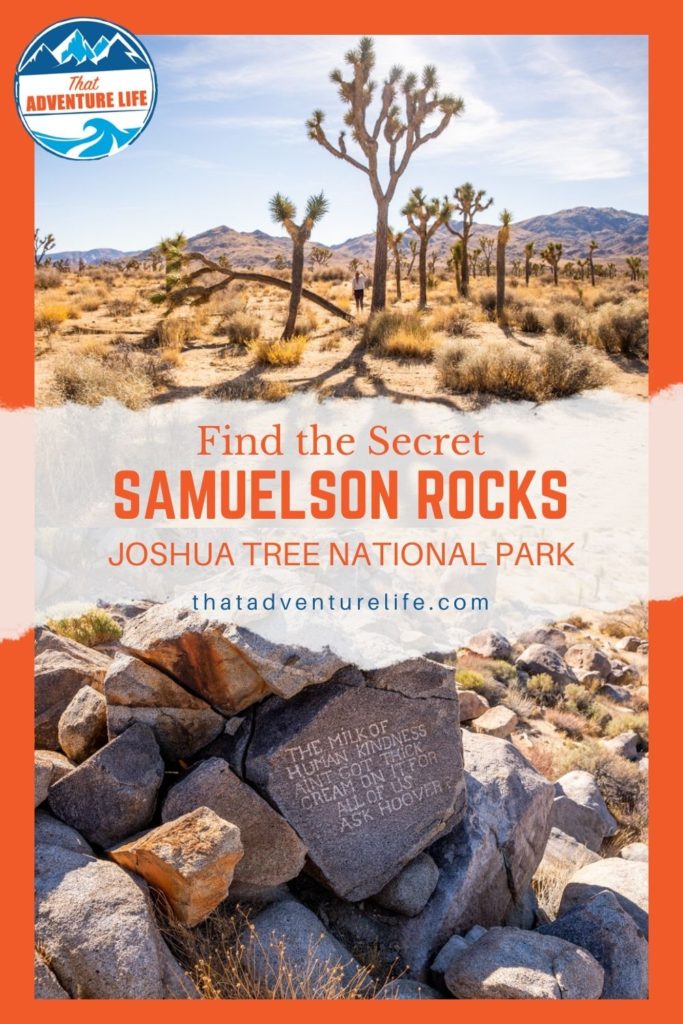 Samuelson's Rocks Pin 2