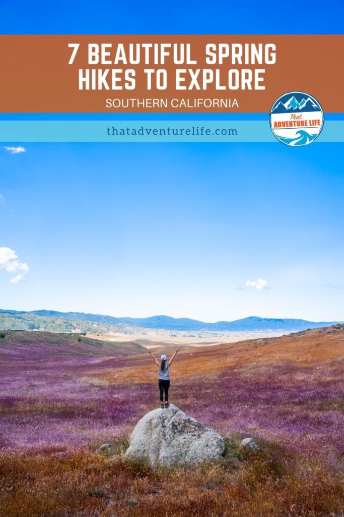 Pinterest Pin for Spring Hikes in Southern California 1