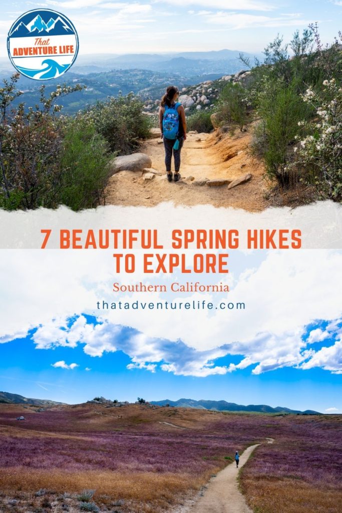 Pinterest Pin for Spring Hikes in Southern California 2