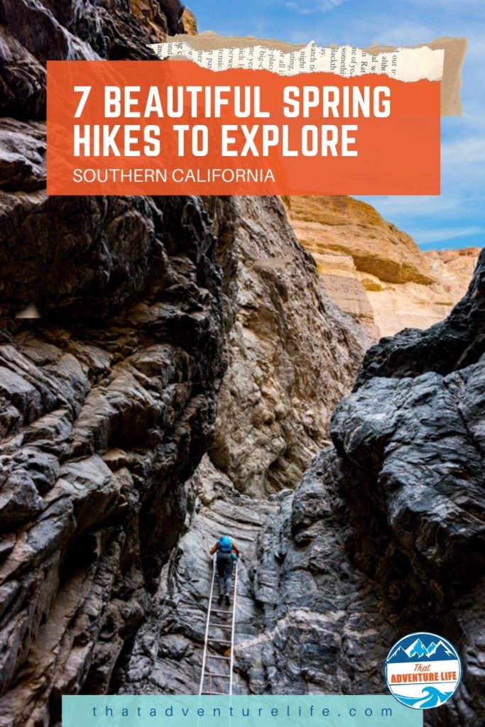 Pinterest Pin for Spring Hikes in Southern California 3