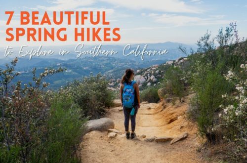Spring Hikes in Southern California