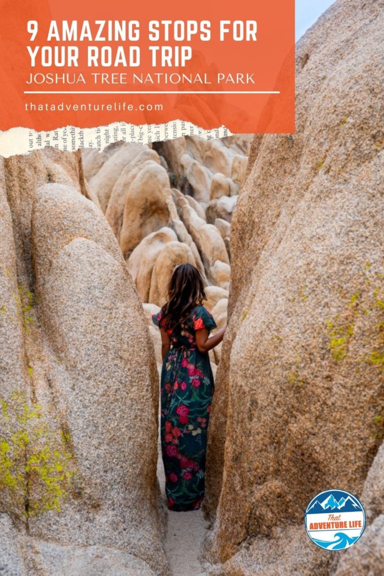 9 Amazing Stops for your Road trip in Joshua Tree Pin 3