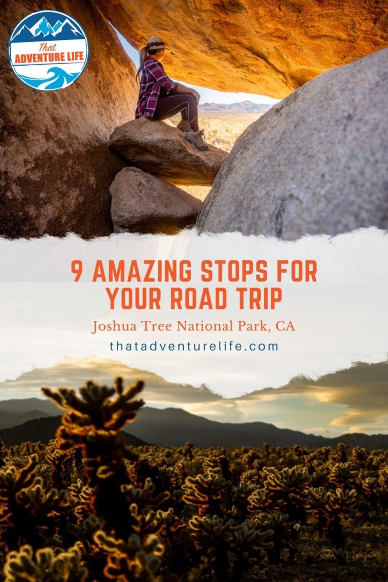 9 Amazing Stops for your Road trip in Joshua Tree Pin 2