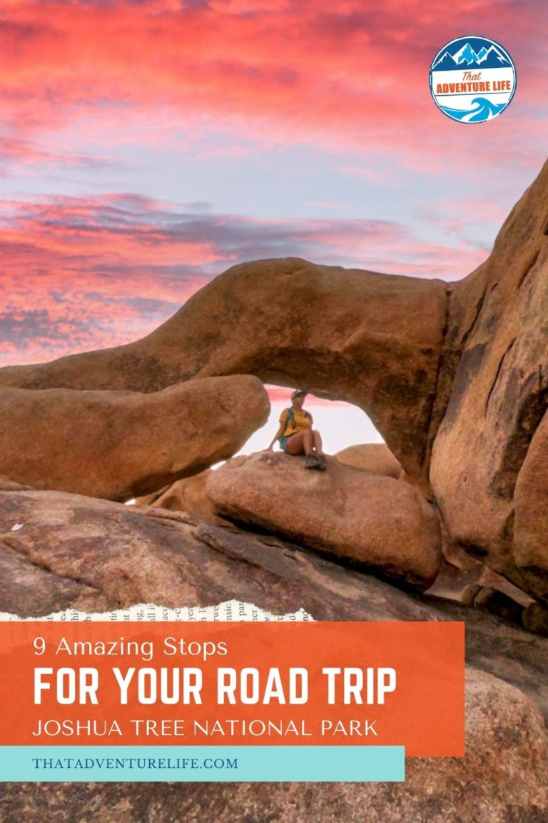 9 Amazing Stops for your Road trip in Joshua Tree Pin 1