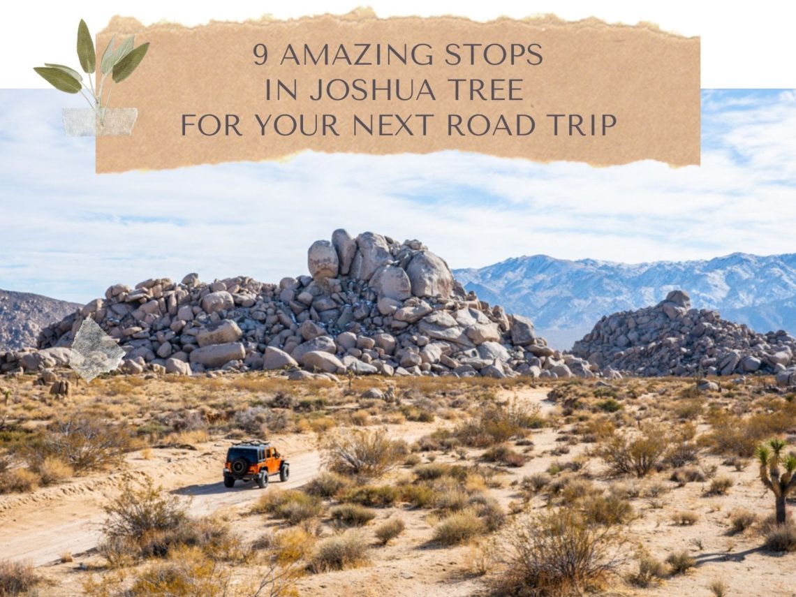 Amazing Stops for your road trip to Joshua Tree National Park_Feature Image