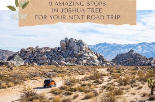Amazing Stops for your road trip to Joshua Tree National Park_Feature Image