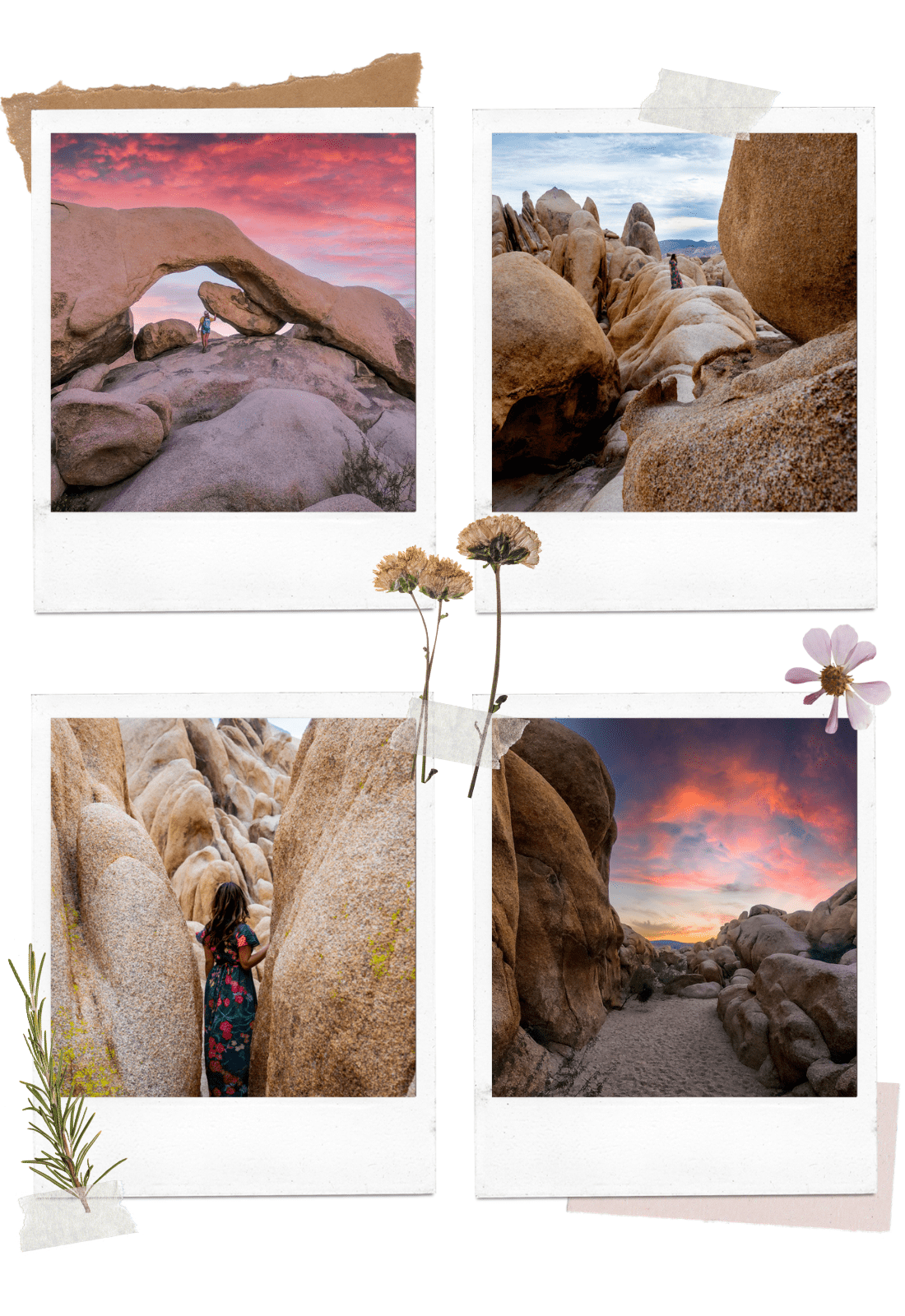 road trip to Joshua Tree National Park: Arch Rock