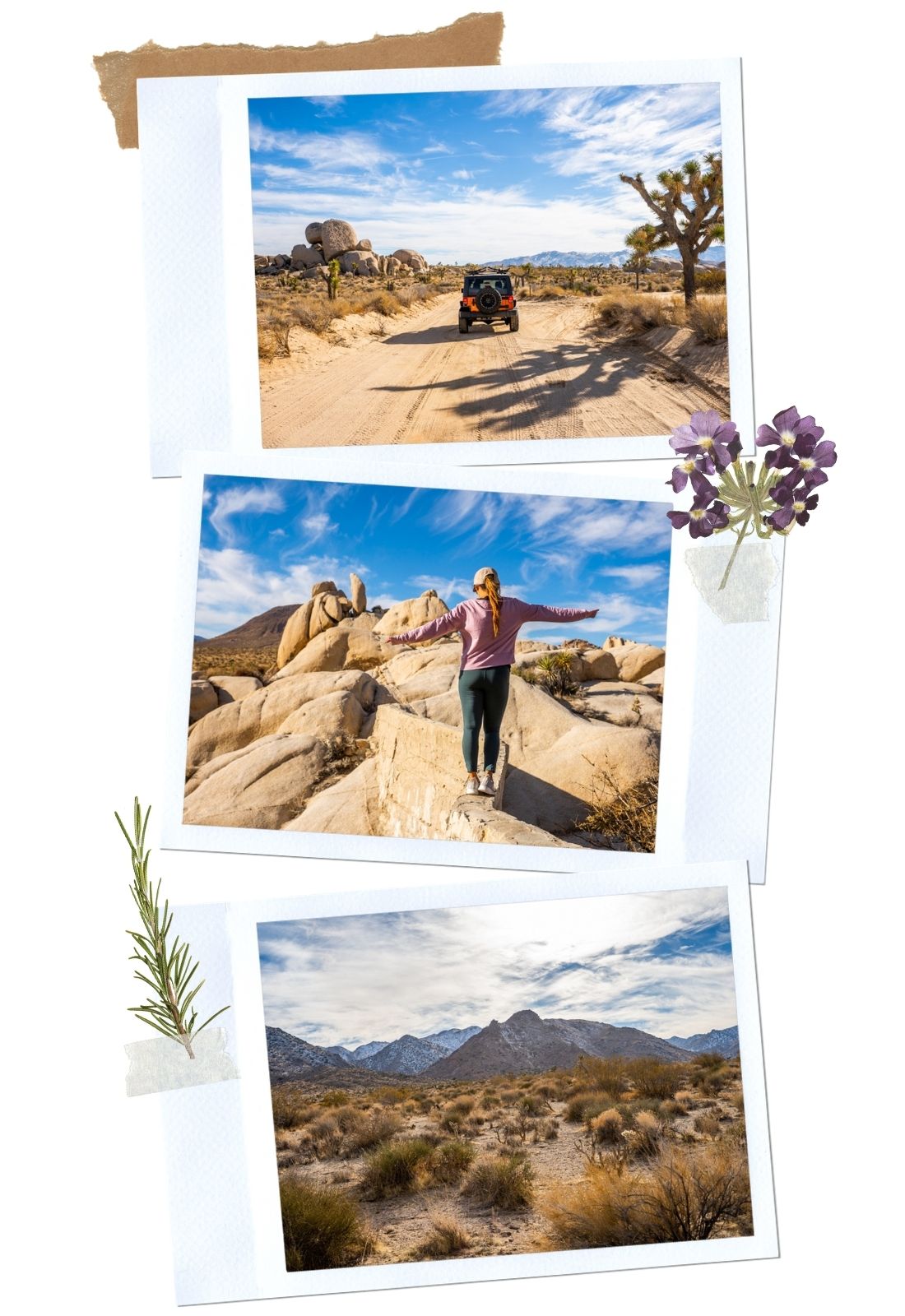 road trip to Joshua Tree National Park: Geology Tour Road Scenic Drive