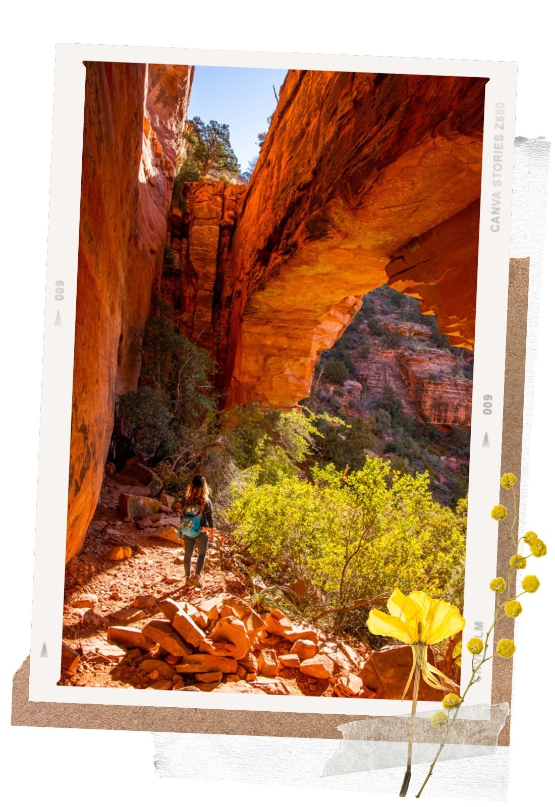 9 Amazing Hikes in Sedona for Your Next Road Trip: Fay Canyon Hike