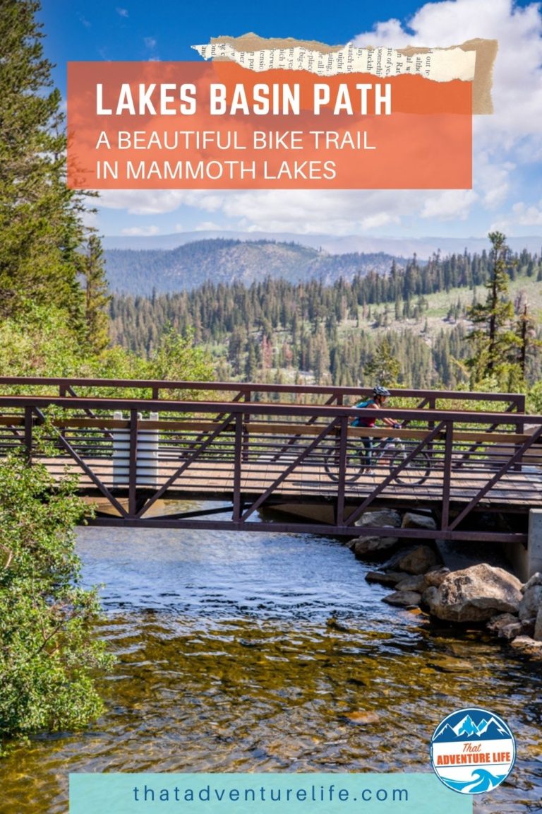 Lakes Basin Bike Path in Mammoth Lakes: Pinterest Pin 3
