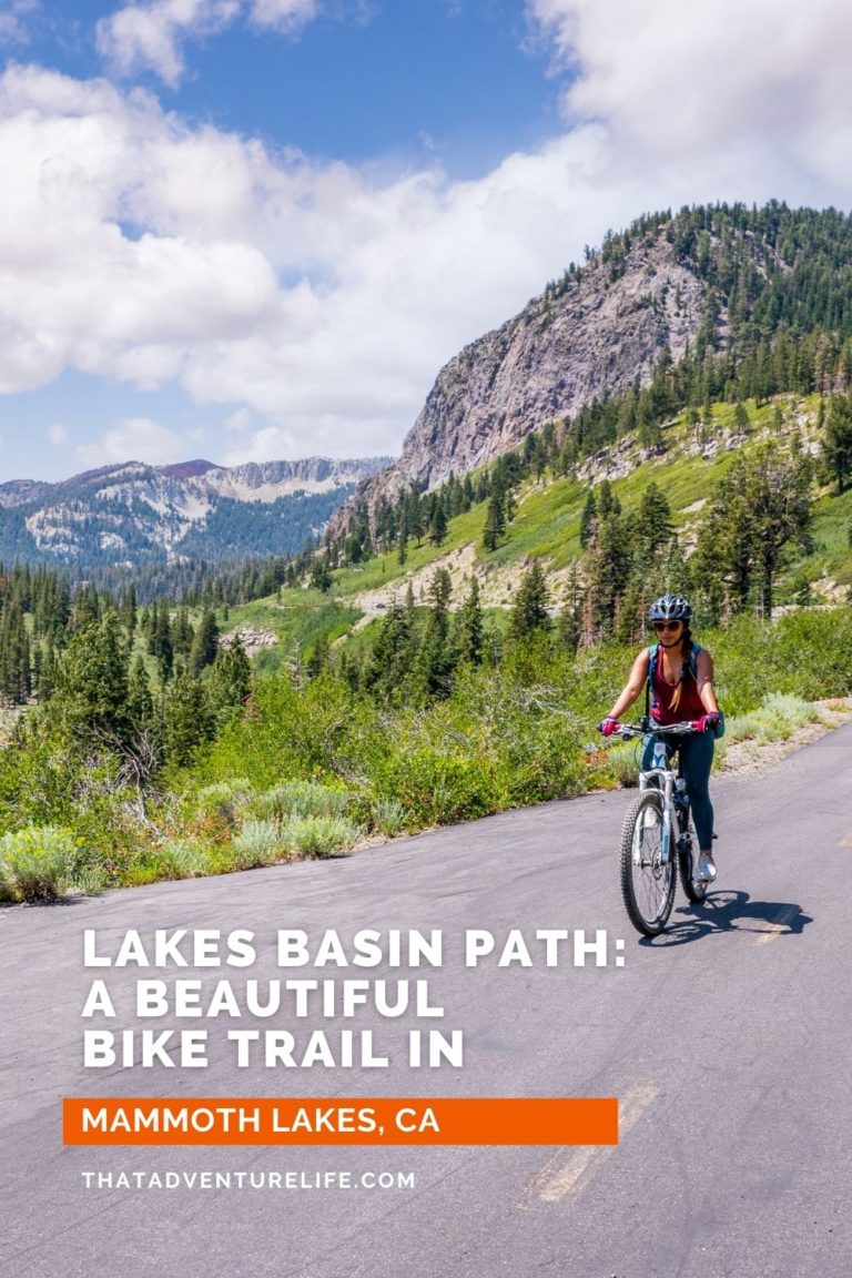 Lakes Basin Bike Path in Mammoth Lakes: Pinterest Pin 2