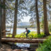 Horseshoe Lake Trail - A Wonderful Beginner Bike Trail in Mammoth Lakes, CA