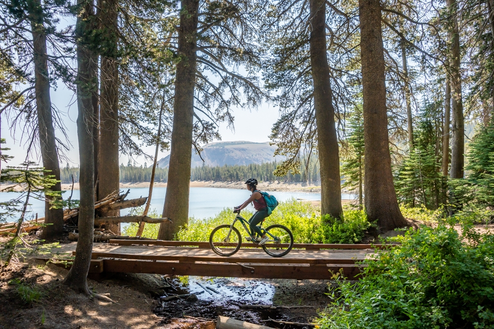 Horseshoe Lake Trail: A Beginner Bike Trail in Mammoth Lakes, CA - That  Adventure Life
