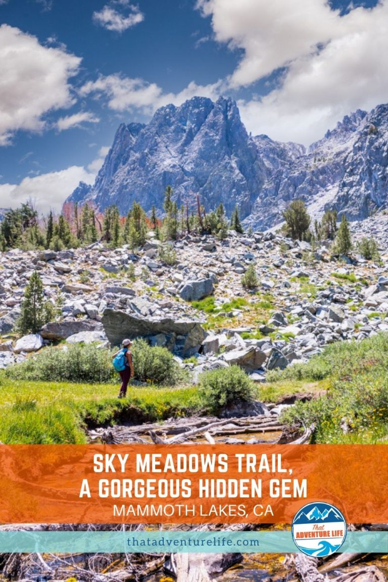 Sky Meadows Trail in Mammoth Lakes Pinterest Pin 1