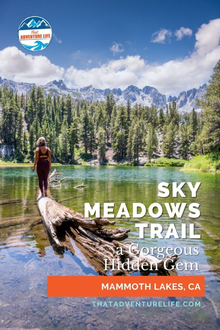 Sky Meadows Trail in Mammoth Lakes Pinterest Pin 2