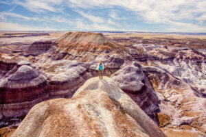 Blue Forest Trail, One of the Best-Kept Secrets in Petrified Forest NP