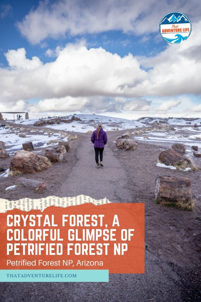 Crystal Forest, a Colorful Glimpse of Petrified Forest NP Pin 1