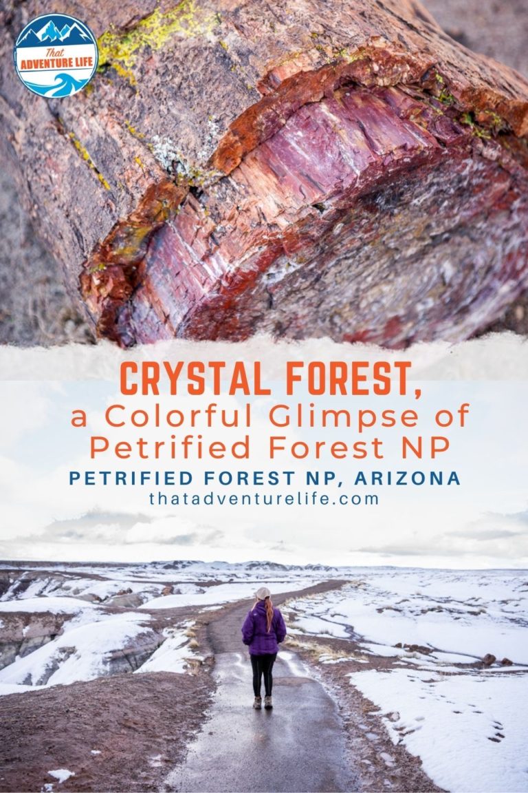 Crystal Forest, a Colorful Glimpse of Petrified Forest NP Pin 2