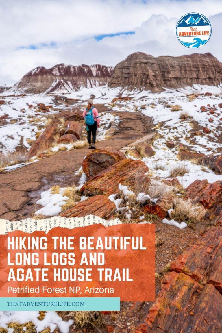 Hiking the Beautiful Long Logs and Agate House Loop Trail Pin 1