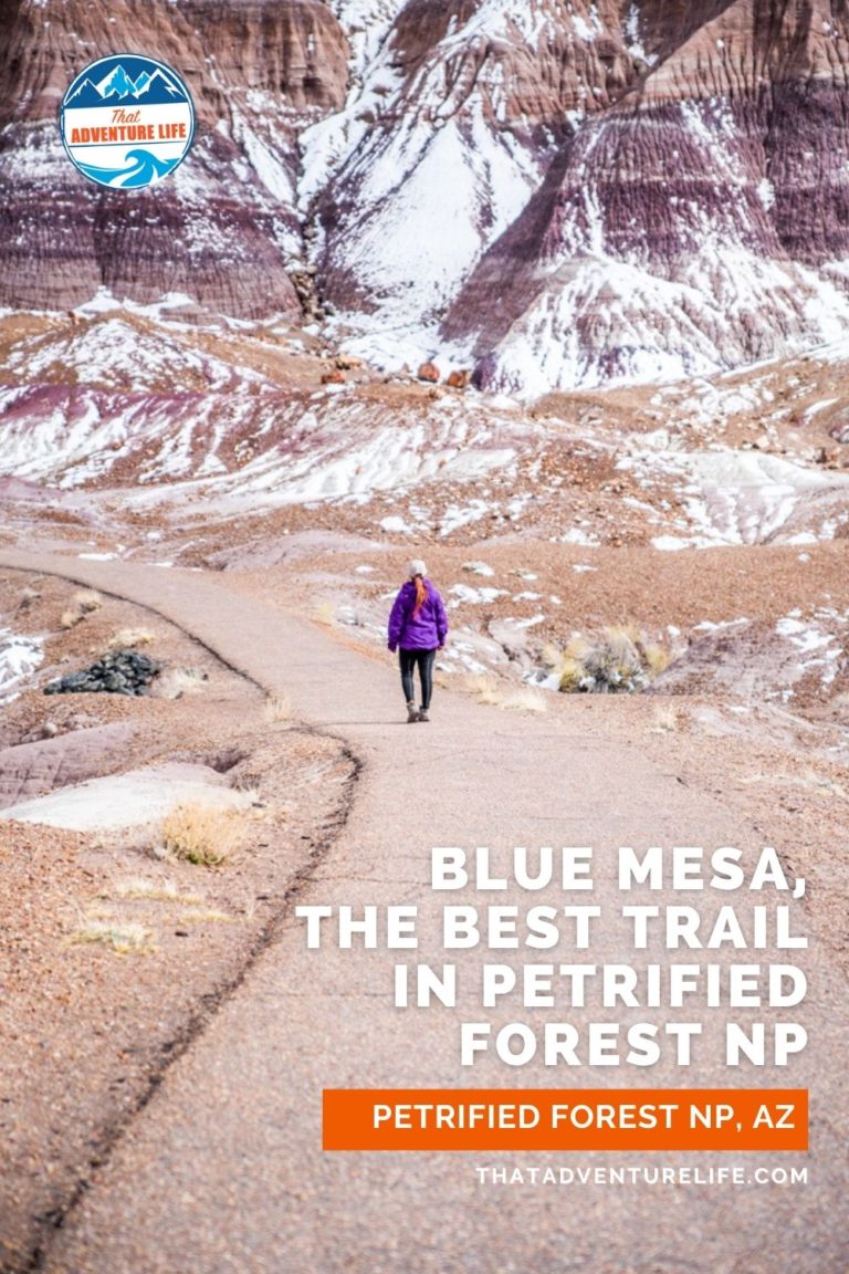 Blue Mesa trail Pin 2