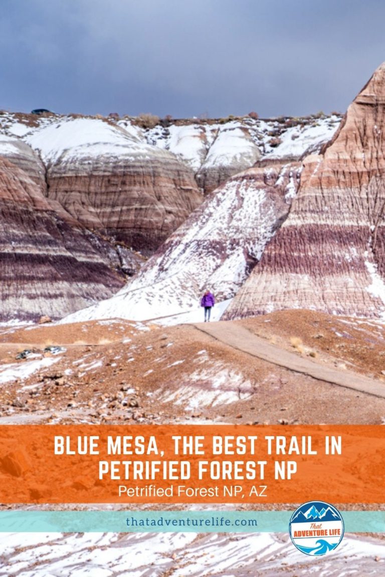Blue Mesa trail Pin 1