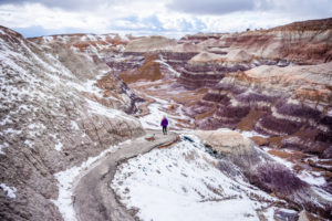 Blue Mesa, the Best Trail in Petrified Forest NP