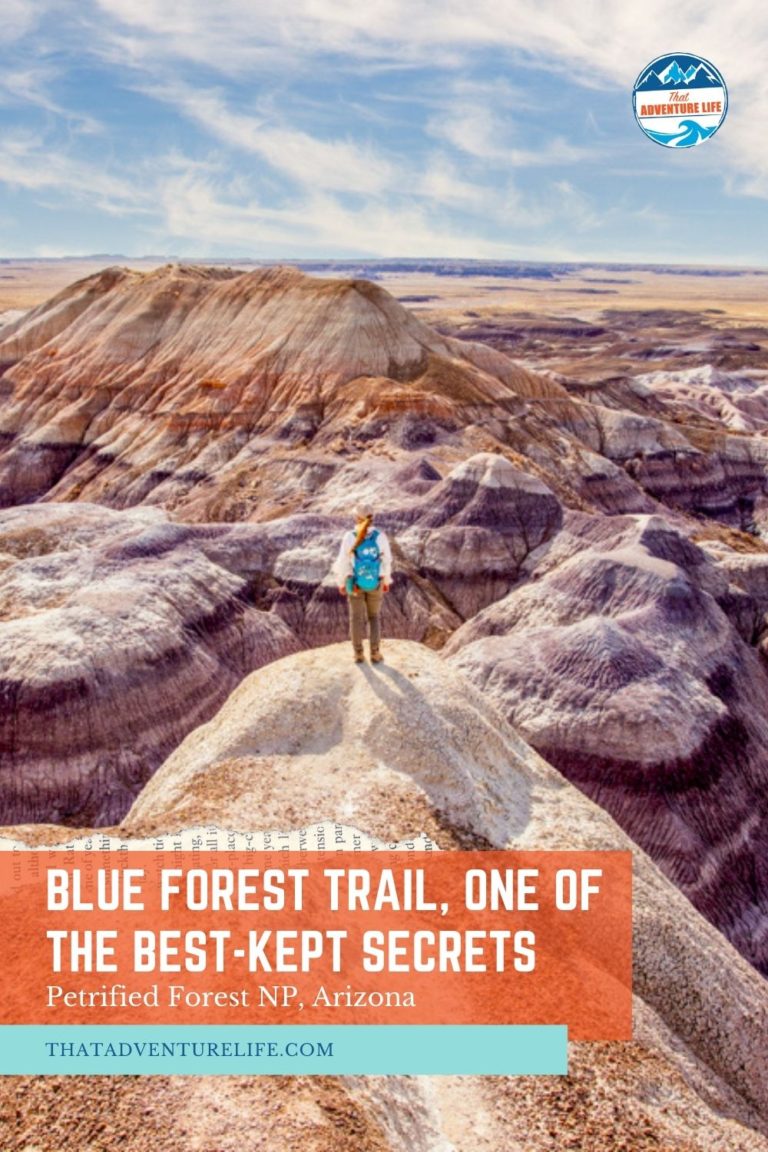 Blue Forest Trail, One of the Best-Kept Secrets in Petrified Forest NP Pin 2