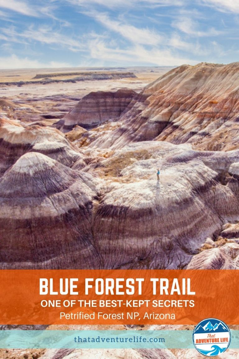 Blue Forest Trail, One of the Best-Kept Secrets in Petrified Forest NP Pin 3