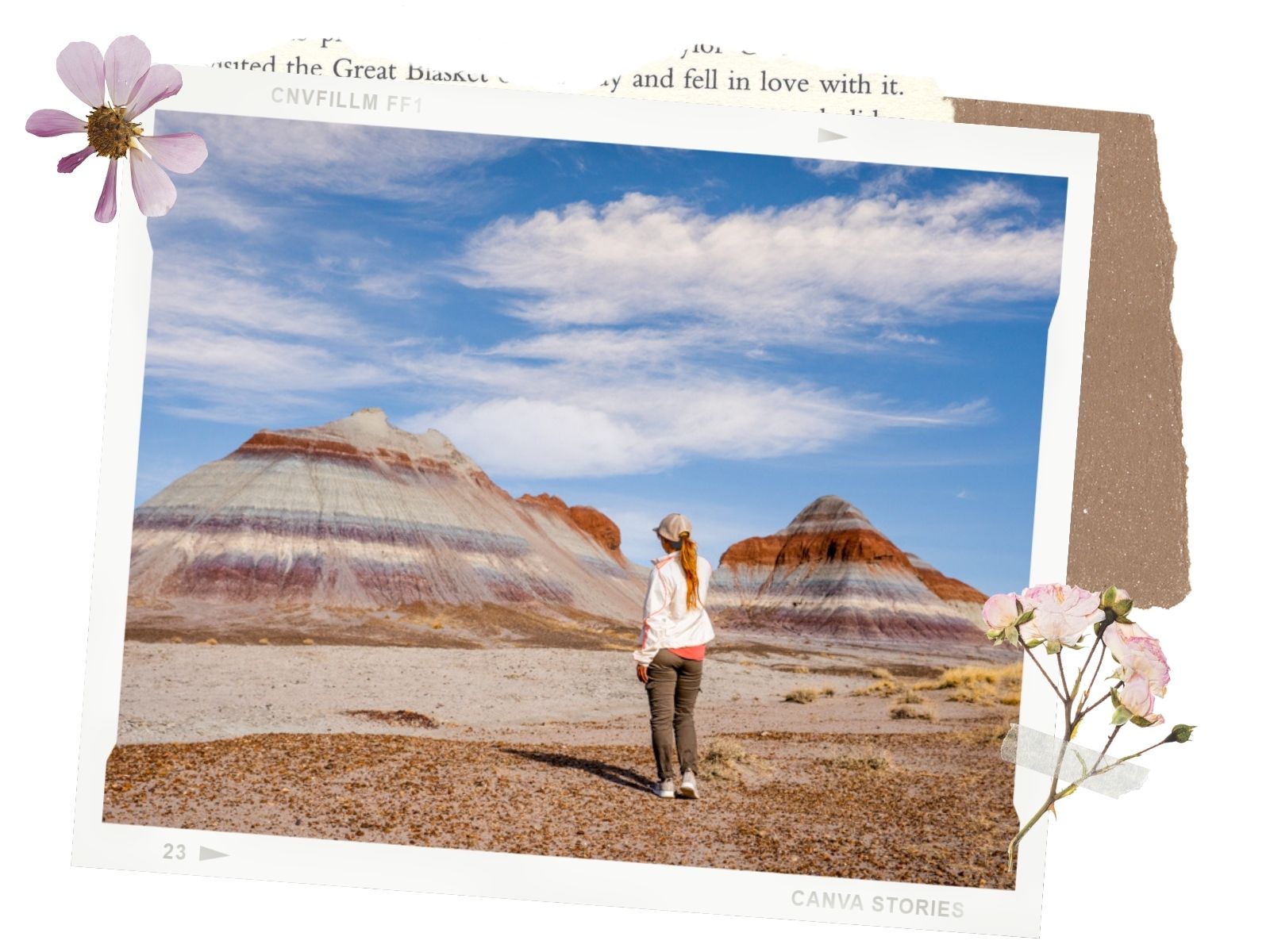 Petrified Forest National Park: The Teepees