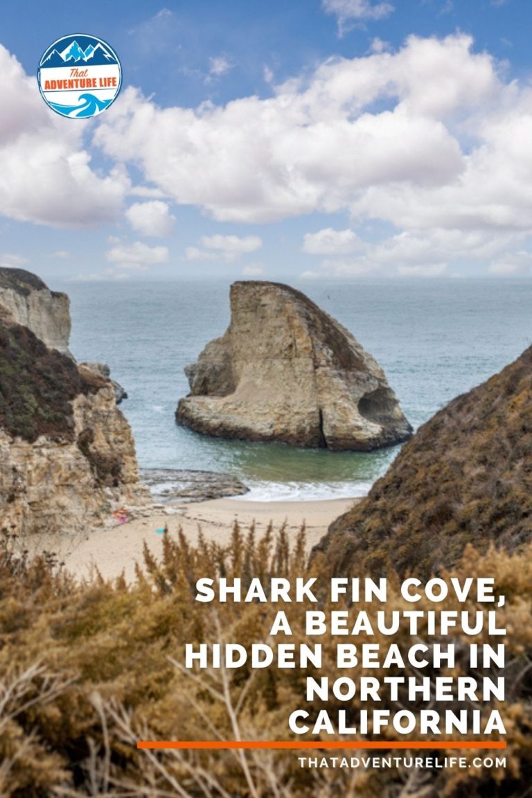 Shark Fin Cove, a Beautiful Hidden Beach in Northern California Pin 1