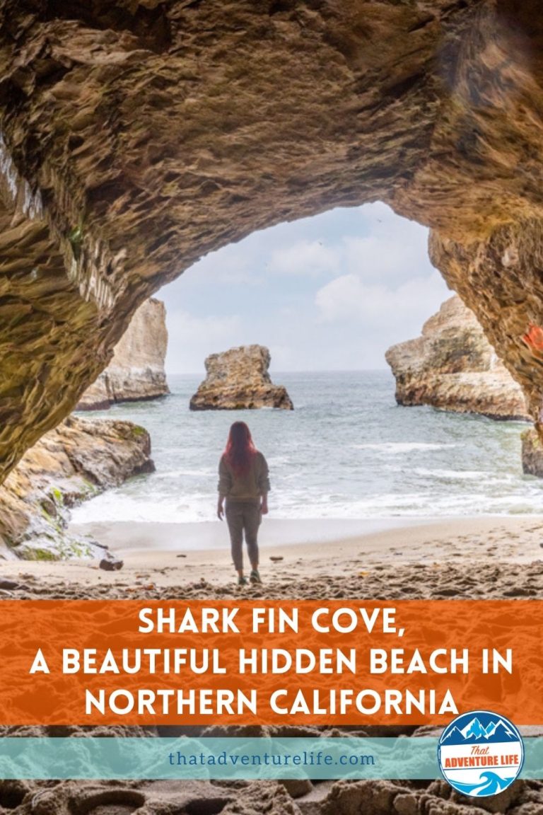 Shark Fin Cove, a Beautiful Hidden Beach in Northern California Pin 2