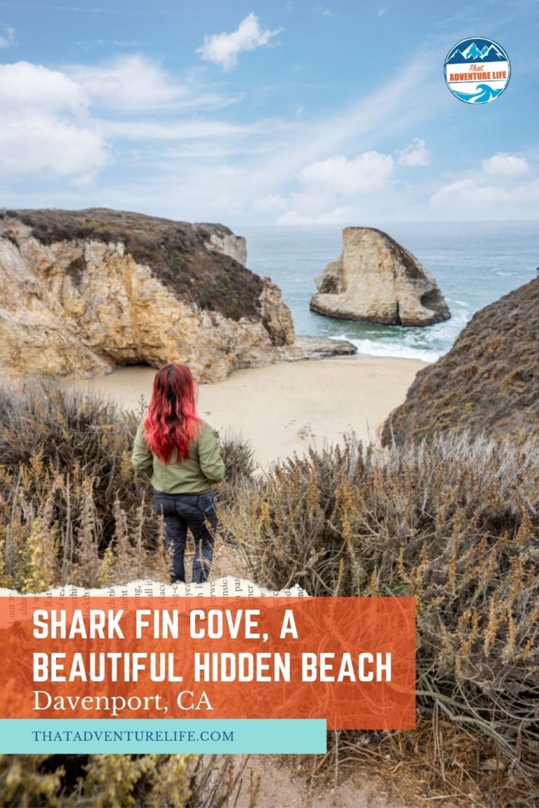 Shark Fin Cove, a Beautiful Hidden Beach in Northern California Pin 3