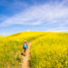 Where to See Wildflowers in Southern California this Spring, Chino Hills State Park