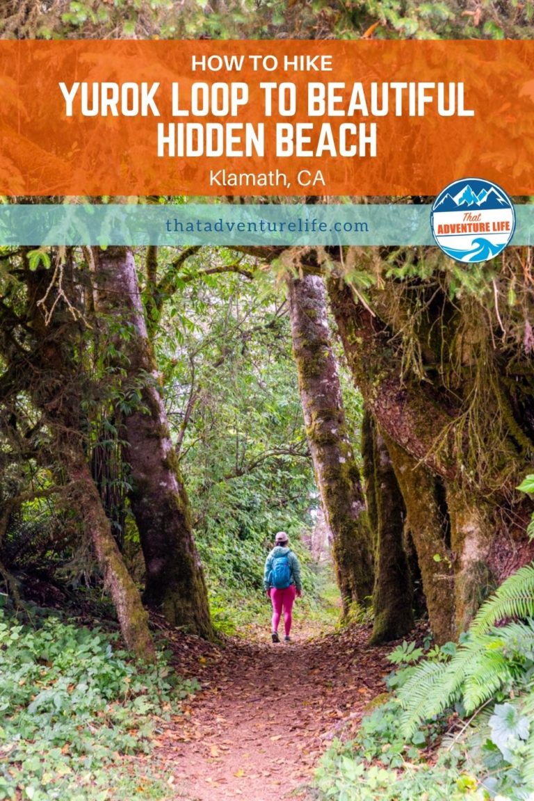 How to Hike Yurok Loop to Beautiful Hidden Beach in Klamath, CA Pin 3