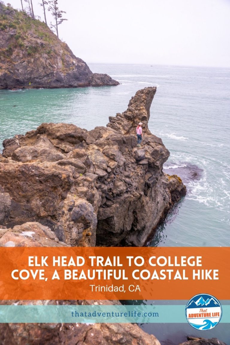 Elk Head Trail to College Cove, a Beautiful Coastal Hike in Trinidad, CA Pin 1
